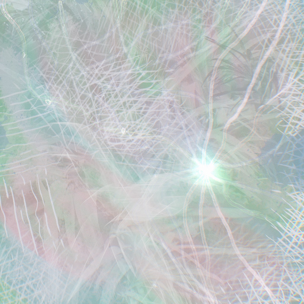 Paint 4 - fine art print